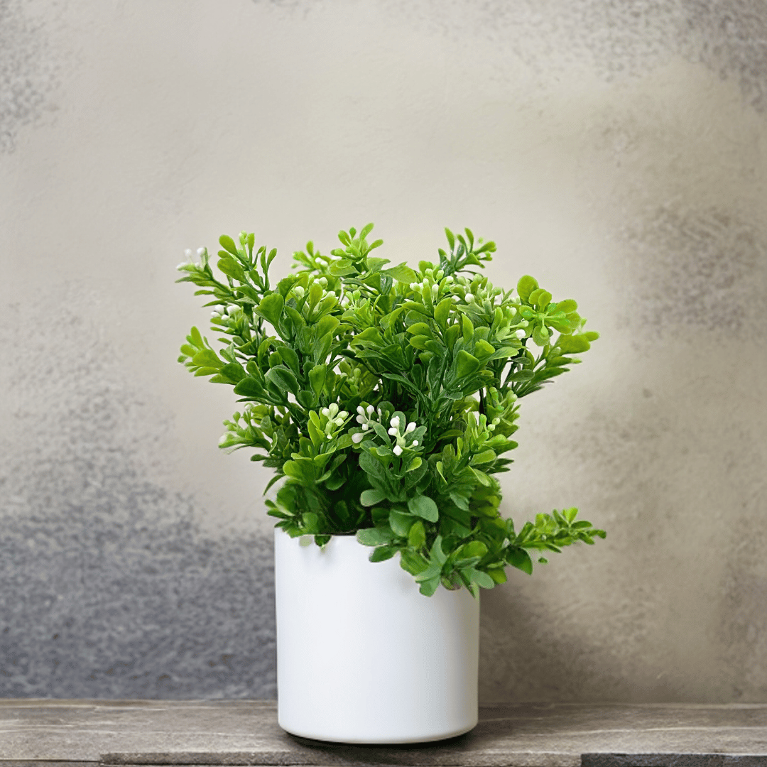 Planta Jardinera - 20 x 10 x 10 cm-Dreamy Home