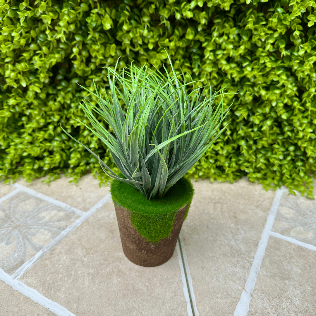 Planta Jardinera - 20 x 10 x 10 cm-Dreamy Home