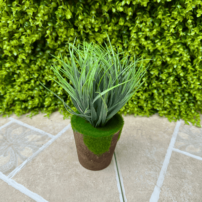 Planta Jardinera - 20 x 10 x 10 cm-Dreamy Home