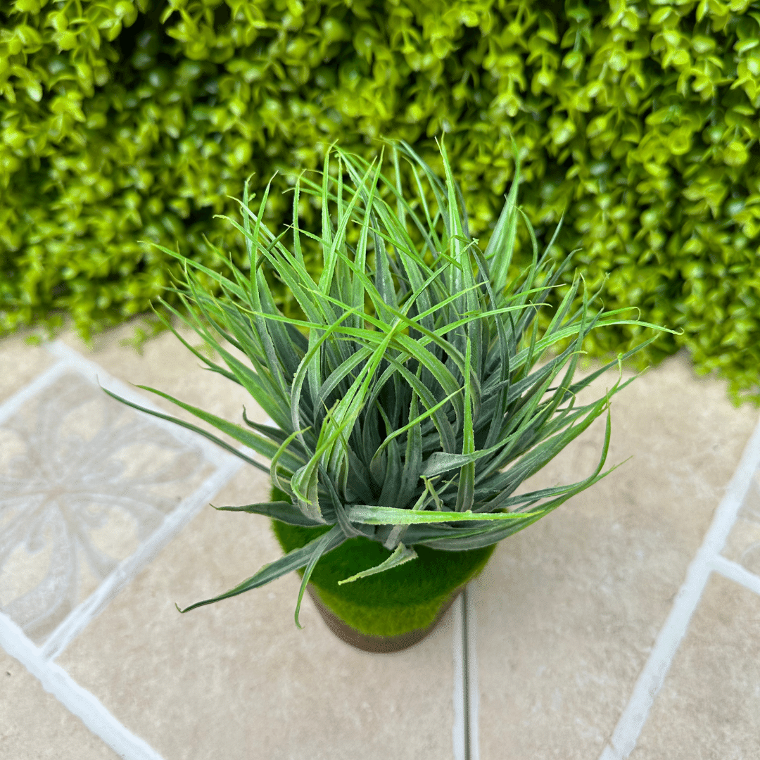 Planta Jardinera - 20 x 10 x 10 cm-Dreamy Home