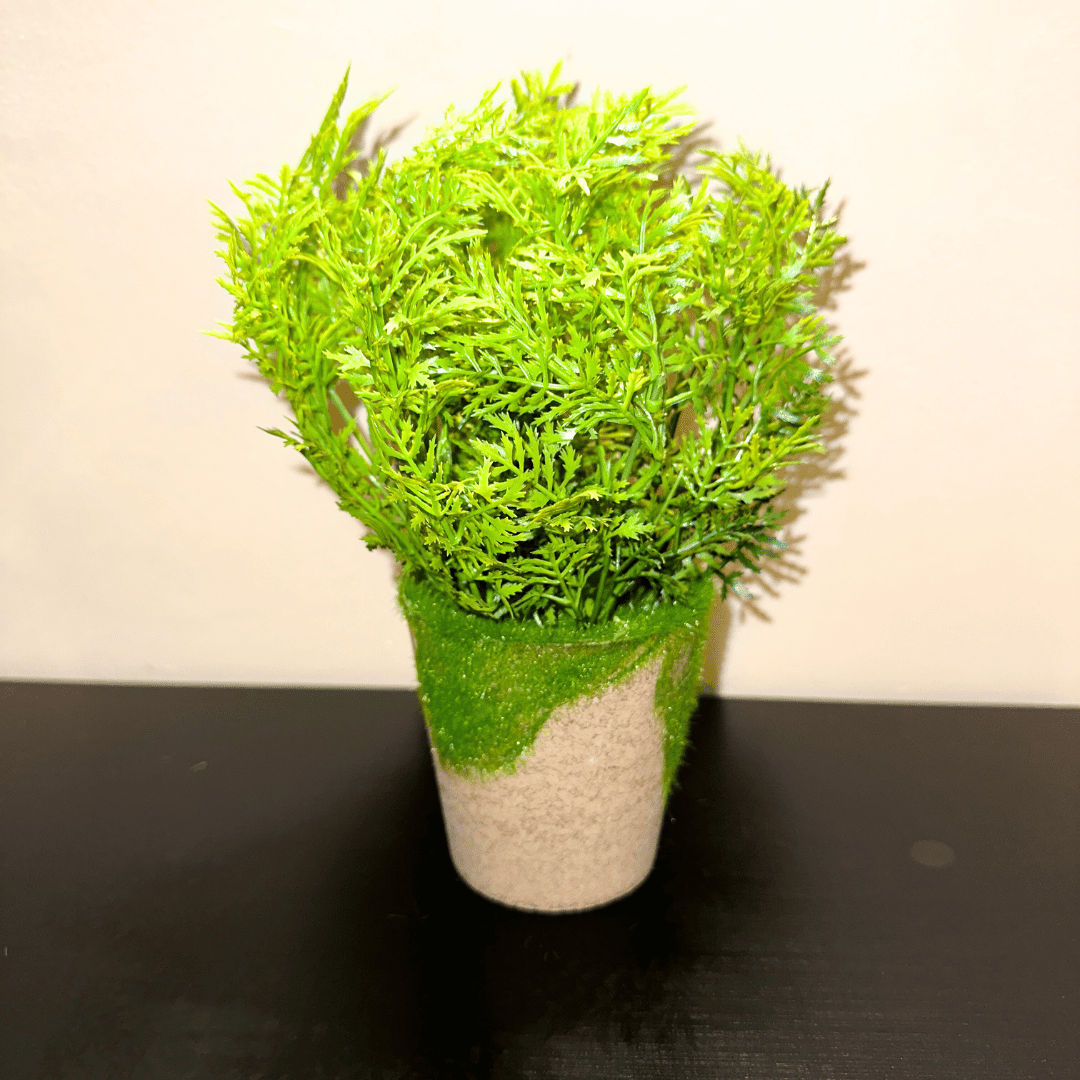Planta Jardinera - 20 x 10 x 10 cm-Dreamy Home