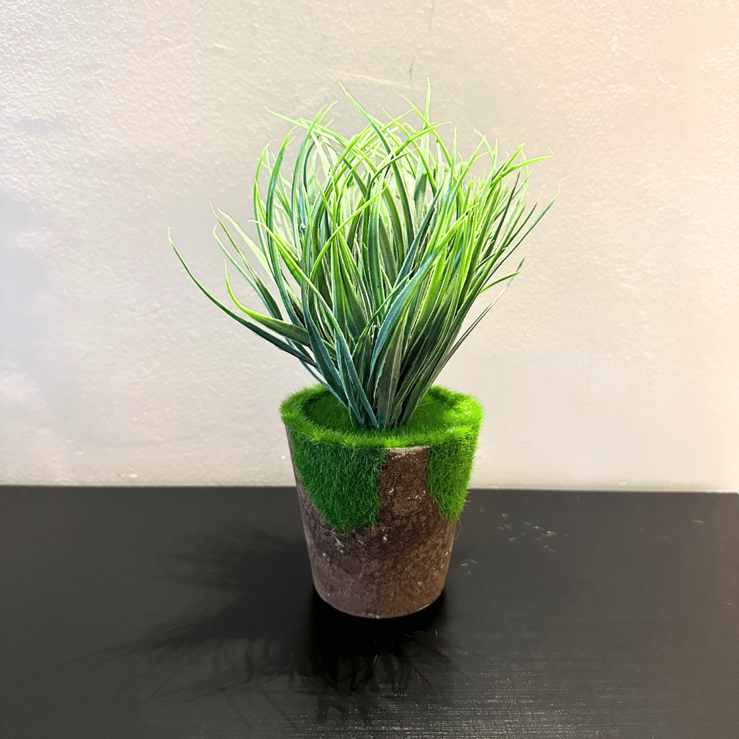 Planta Jardinera - 20 x 10 x 10 cm-Dreamy Home