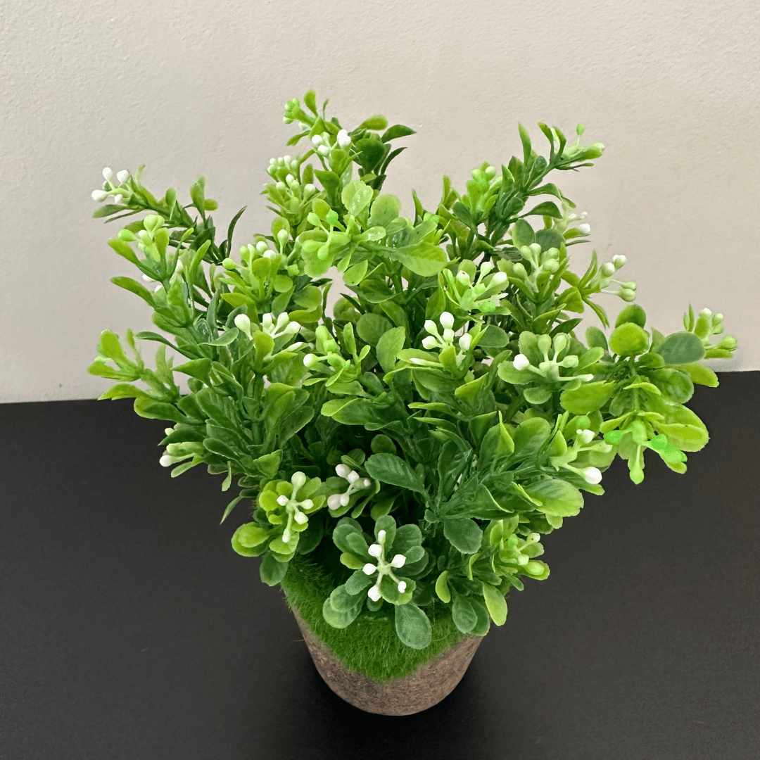 Planta Jardinera - 20 x 10 x 10 cm-Dreamy Home
