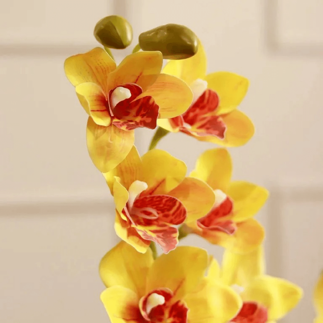 Planta Orquídea Artificial - Amarillo/Blanco Altura 88 cm-Dreamy Home