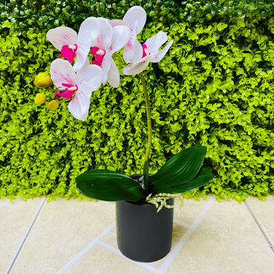 Planta Orquídea Macetero Mate - 20 x 9,5 x 41 cm-Dreamy Home