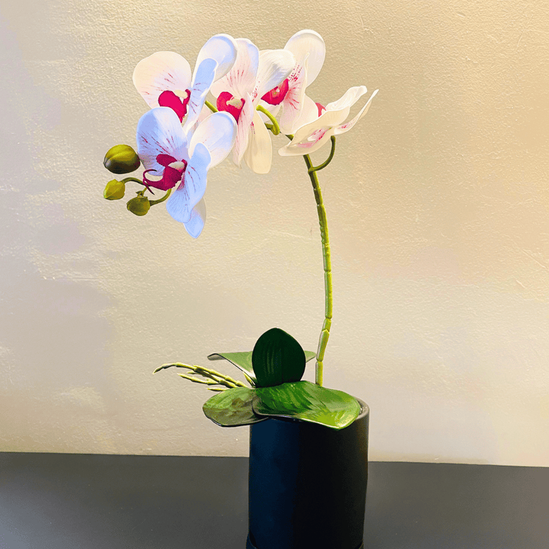 Planta Orquídea Macetero Mate - 20 x 9,5 x 41 cm-Dreamy Home