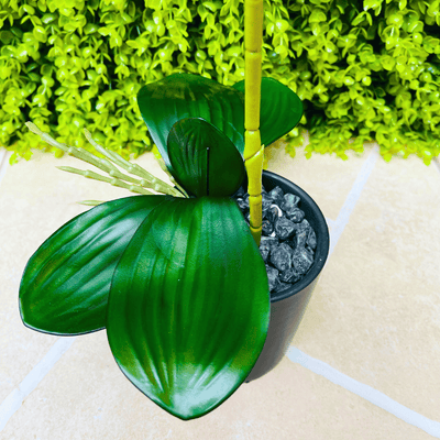 Planta Orquídea Macetero Mate - 20 x 9,5 x 41 cm-Dreamy Home