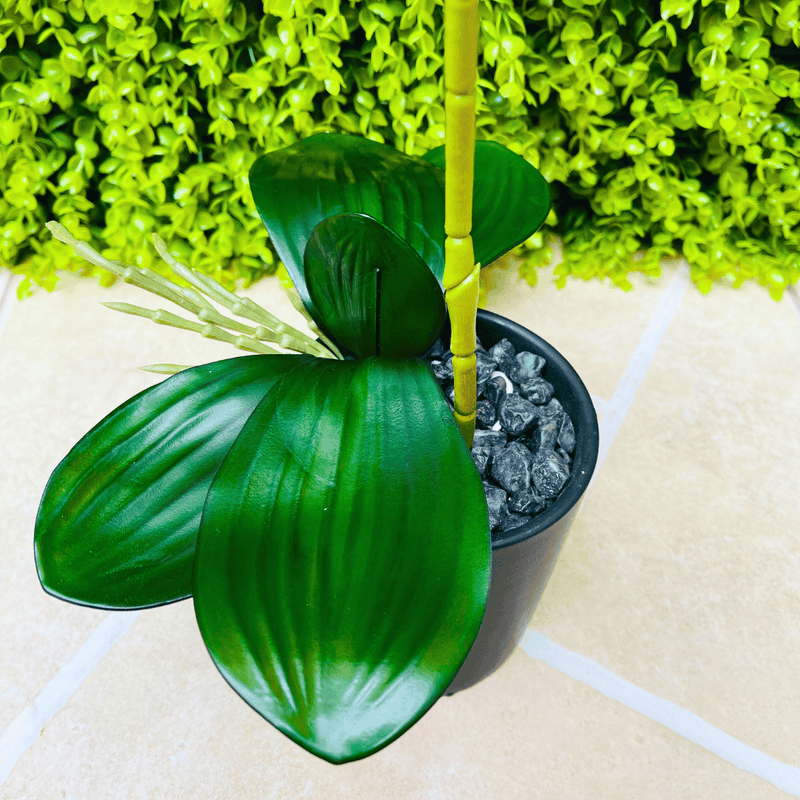 Planta Orquídea Macetero Mate - 20 x 9,5 x 41 cm-Dreamy Home