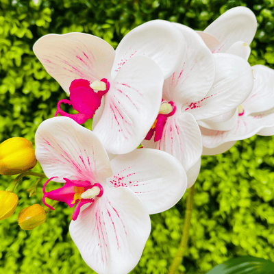 Planta Orquídea Macetero Mate - 20 x 9,5 x 41 cm-Dreamy Home