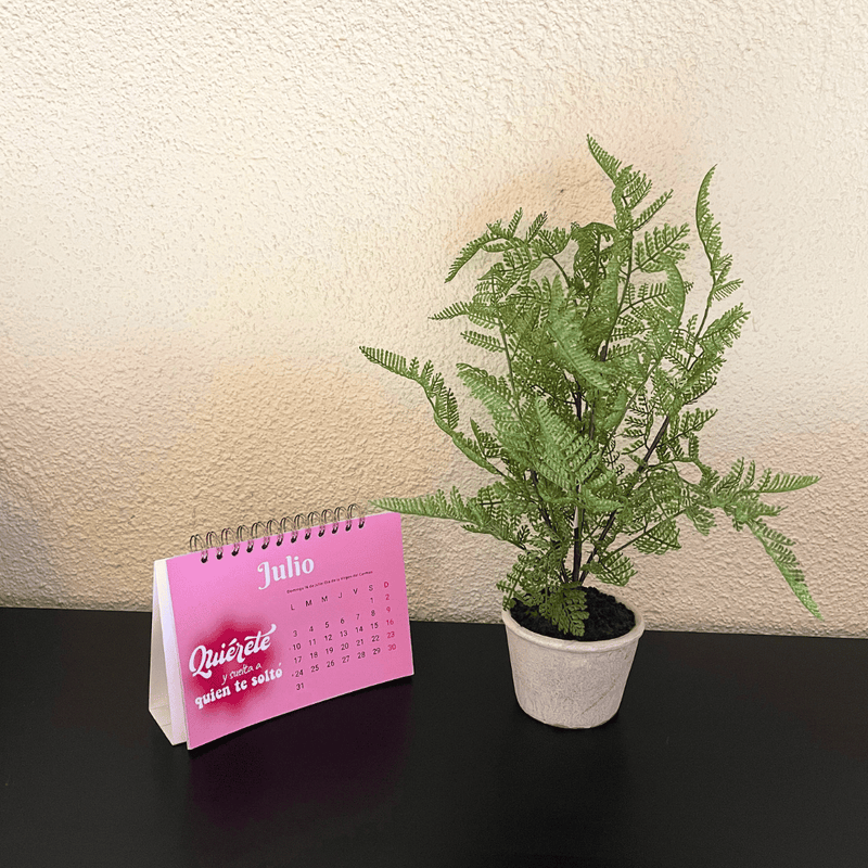 Plantas Helechos - 12 x 48 cm-Dreamy Home