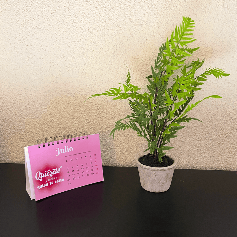 Plantas Helechos - 12 x 48 cm-Dreamy Home
