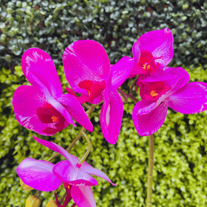 Plantas Orquídeas Macetero Negro - 20 x 9,5 x 41 cm-Dreamy Home