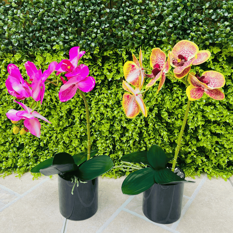 Plantas Orquídeas Macetero Negro - 20 x 9,5 x 41 cm-Dreamy Home