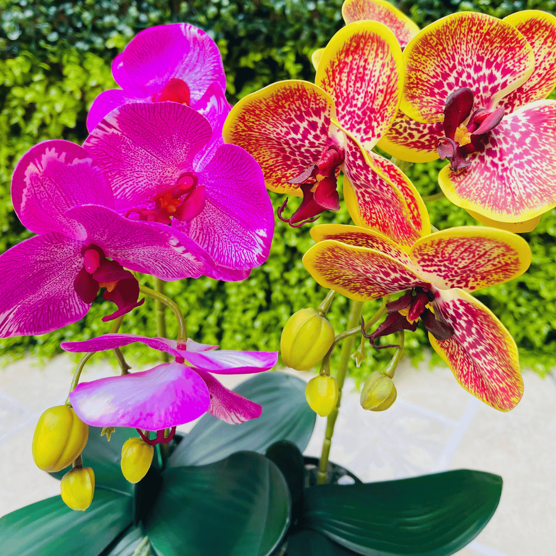 Plantas Orquídeas Macetero Negro - 20 x 9,5 x 41 cm-Dreamy Home