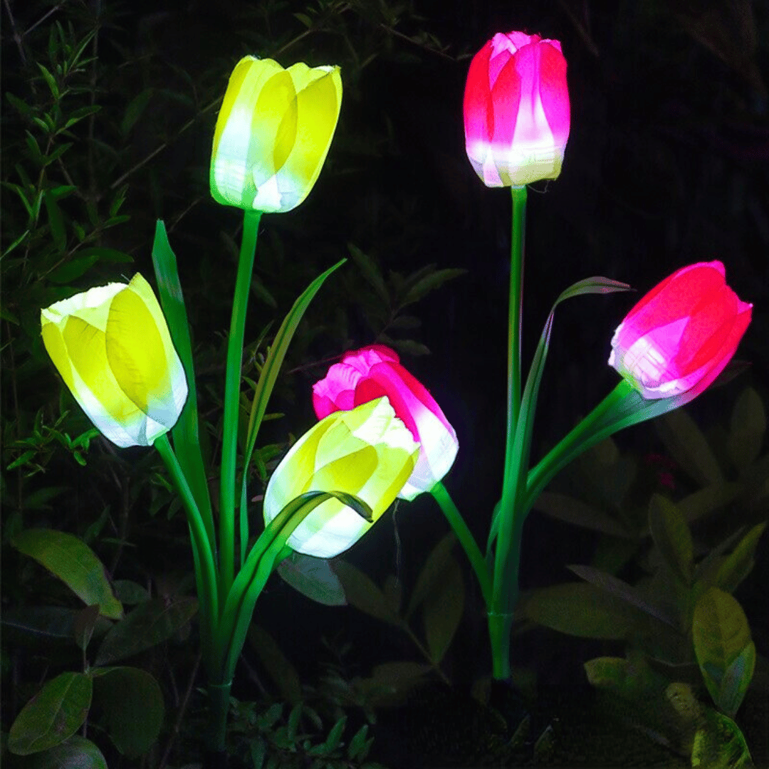 Tulipanes Solares - Luz Fría 2 Un. Color Rojo/Azul/Amarillo IP44-Dreamy Home